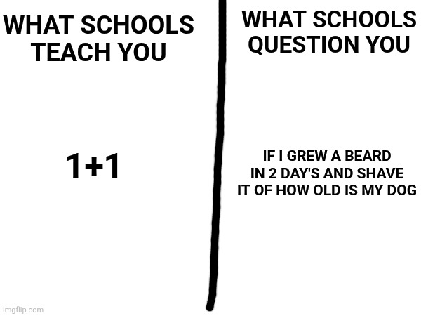 Useless information | WHAT SCHOOLS TEACH YOU; WHAT SCHOOLS QUESTION YOU; IF I GREW A BEARD IN 2 DAY'S AND SHAVE IT OF HOW OLD IS MY DOG; 1+1 | image tagged in oh wow are you actually reading these tags | made w/ Imgflip meme maker