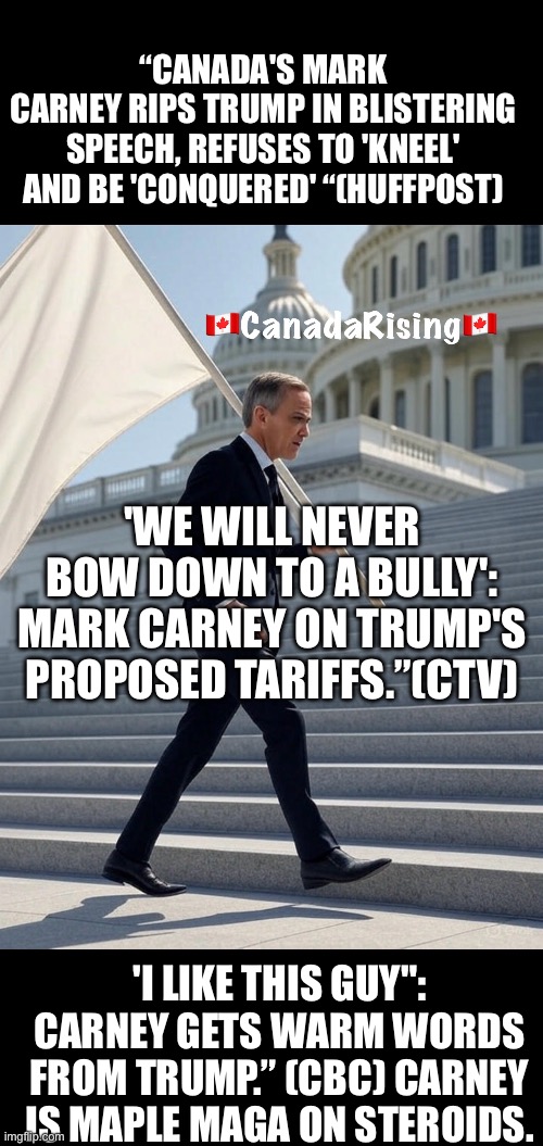 ??CanadaRising?? | “CANADA'S MARK
CARNEY RIPS TRUMP IN BLISTERING SPEECH, REFUSES TO 'KNEEL' AND BE 'CONQUERED' “(HUFFPOST); 'WE WILL NEVER BOW DOWN TO A BULLY': MARK CARNEY ON TRUMP'S PROPOSED TARIFFS.”(CTV); 'I LIKE THIS GUY": CARNEY GETS WARM WORDS FROM TRUMP.” (CBC) CARNEY IS MAPLE MAGA ON STEROIDS. | image tagged in canadian politics | made w/ Imgflip meme maker
