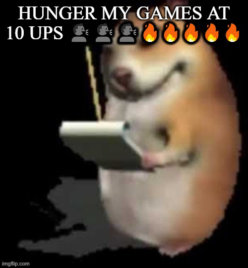 Chomik type | HUNGER MY GAMES AT 10 UPS 🗣️🗣️🗣️🔥🔥🔥🔥🔥 | image tagged in chomik type | made w/ Imgflip meme maker