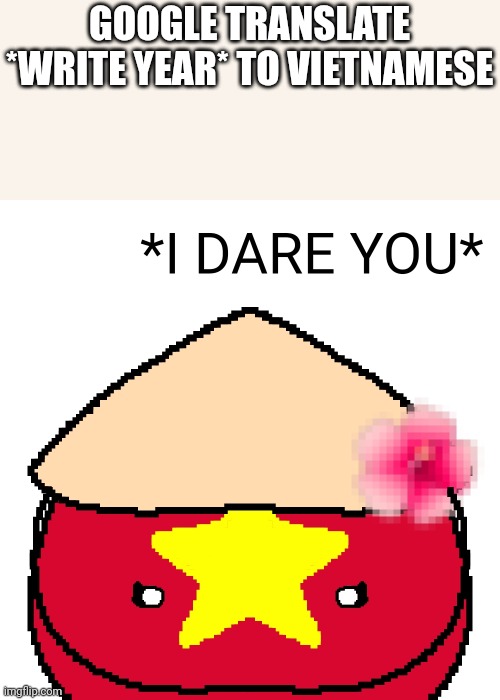I dare you to do it | GOOGLE TRANSLATE *WRITE YEAR* TO VIETNAMESE | image tagged in countryballs,google translate,vietnam,memes,funny memes,shitpost | made w/ Imgflip meme maker