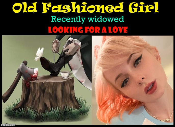 Her Divorce was Murder | image tagged in vince vance,old fashioned,girls,bloody axe,boots,butterfly | made w/ Imgflip meme maker