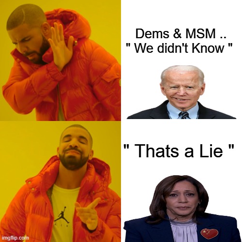 Don't they look innocent ? | Dems & MSM .. " We didn't Know "; " Thats a Lie " | image tagged in memes,drake hotline bling | made w/ Imgflip meme maker