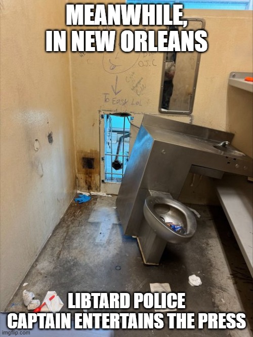 Explain The Hole, Ms. McGlasses | MEANWHILE, IN NEW ORLEANS; LIBTARD POLICE CAPTAIN ENTERTAINS THE PRESS | image tagged in explain the hole ms mcglasses | made w/ Imgflip meme maker