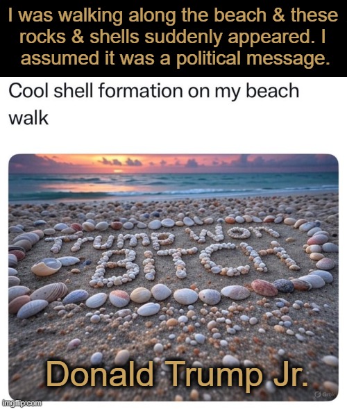 DJT JR.'s Cool Shell Formation | I was walking along the beach & these 
rocks & shells suddenly appeared. I 
assumed it was a political message. Donald Trump Jr. | image tagged in donald trump,junior,political,message,trump won,james comey | made w/ Imgflip meme maker