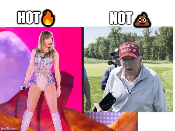 you sure you want to start this battle old man? | NOT💩; HOT🔥 | image tagged in trump,says,taylor swift,is not hot | made w/ Imgflip meme maker