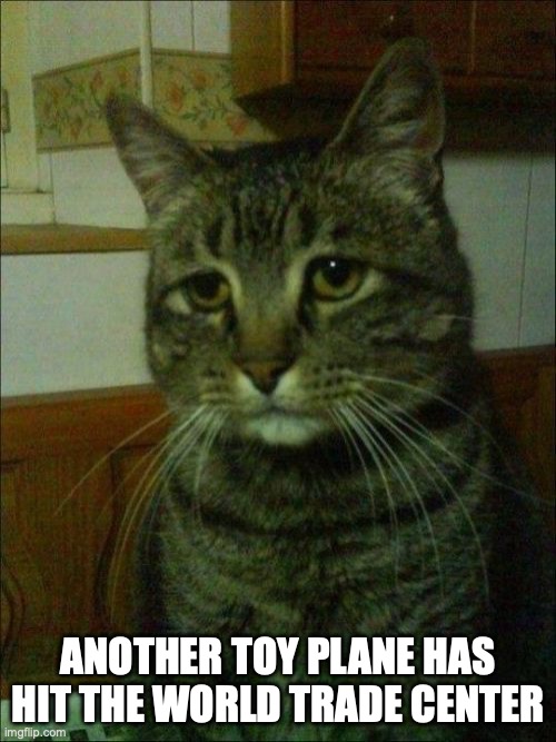 A little kid threw the plane | ANOTHER TOY PLANE HAS HIT THE WORLD TRADE CENTER | image tagged in memes,depressed cat | made w/ Imgflip meme maker