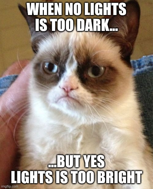 Its too dark... Now its too bright! | WHEN NO LIGHTS IS TOO DARK... ...BUT YES LIGHTS IS TOO BRIGHT | image tagged in memes,grumpy cat | made w/ Imgflip meme maker