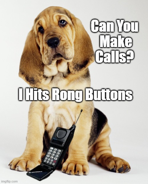 Hound Make Calls | Can You 
Make Calls? I Hits Rong Buttons | image tagged in make calls,rong buttons | made w/ Imgflip meme maker