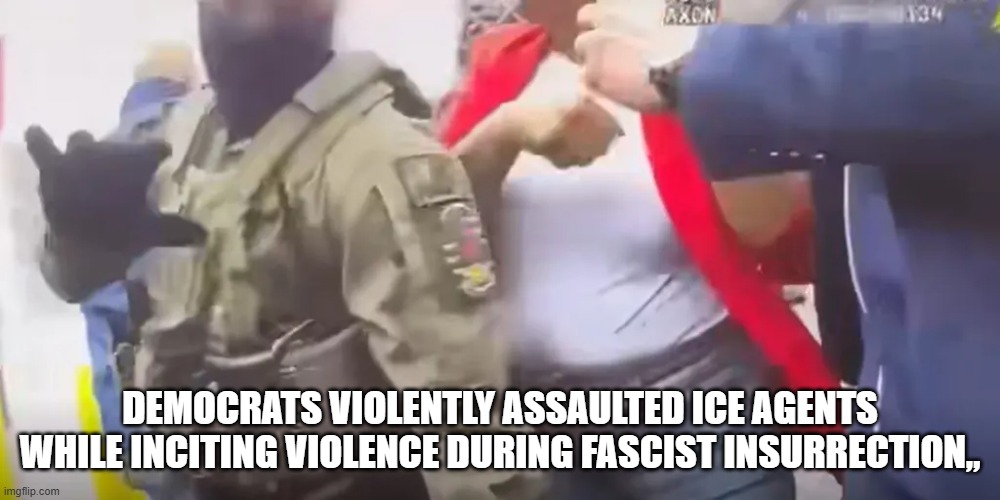 Democrats violently assaulted ICE agents while inciting violence during fascist insurrection,, | DEMOCRATS VIOLENTLY ASSAULTED ICE AGENTS WHILE INCITING VIOLENCE DURING FASCIST INSURRECTION,, | image tagged in ice,nj | made w/ Imgflip meme maker