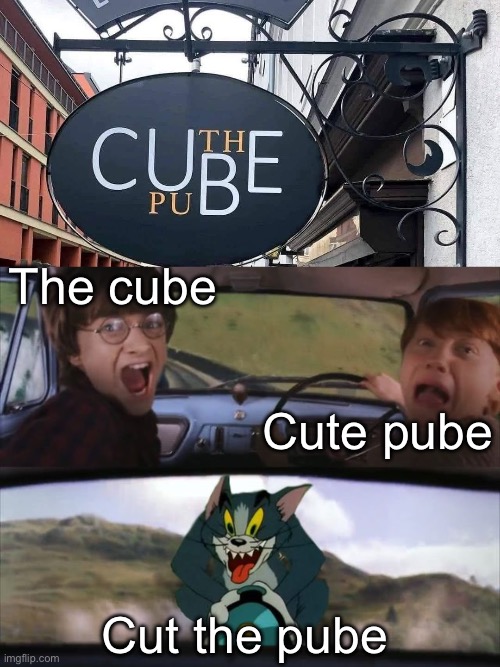 Cute | The cube; Cute pube; Cut the pube | image tagged in tom and harry potter,cut,pub,pube,cute | made w/ Imgflip meme maker