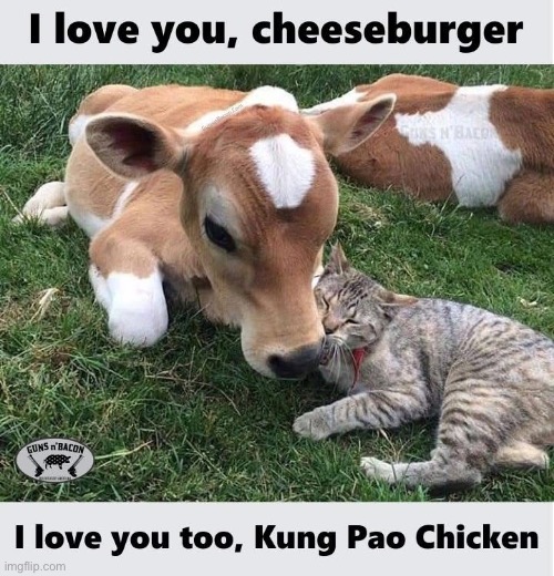 Food | image tagged in food,cheeseburger,chicken | made w/ Imgflip meme maker