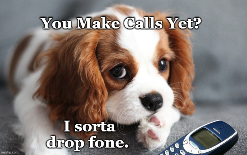 Cav Drop Fone | You Make Calls Yet? I sorta drop fone. | image tagged in make calls yet,i drop fone,cav drop fone | made w/ Imgflip meme maker