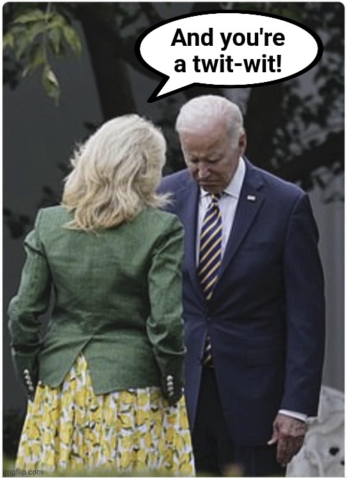 And you're a twit-wit! | image tagged in jill scolds joe biden and he pouts | made w/ Imgflip meme maker