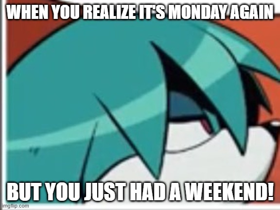 Unamused Kit | WHEN YOU REALIZE IT'S MONDAY AGAIN; BUT YOU JUST HAD A WEEKEND! | image tagged in unamused kit | made w/ Imgflip meme maker