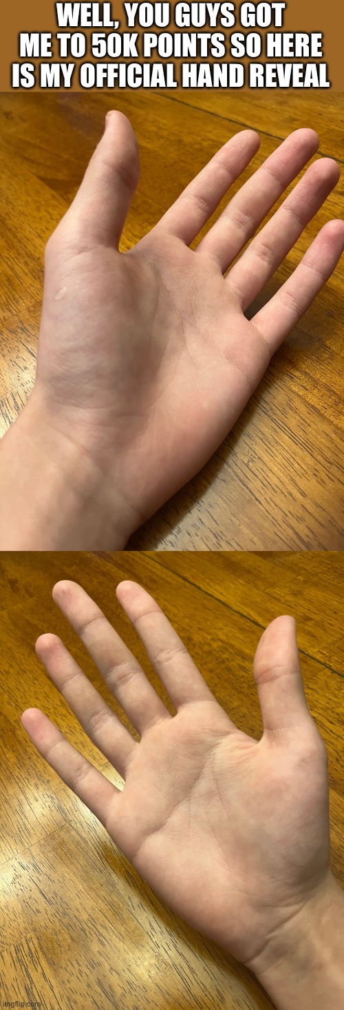 Les go 50K | WELL, YOU GUYS GOT ME TO 50K POINTS SO HERE IS MY OFFICIAL HAND REVEAL | image tagged in hand reveal,why not | made w/ Imgflip meme maker