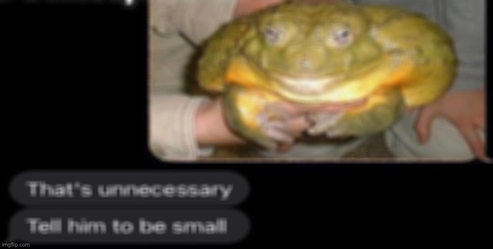 image tagged in frog,small,toad,toady | made w/ Imgflip meme maker