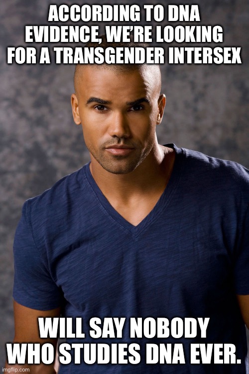 Criminal Minds Shemar Moore | ACCORDING TO DNA EVIDENCE, WE’RE LOOKING FOR A TRANSGENDER INTERSEX WILL SAY NOBODY WHO STUDIES DNA EVER. | image tagged in criminal minds shemar moore | made w/ Imgflip meme maker