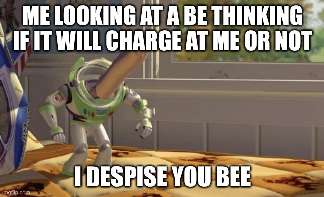 Hmm yes | ME LOOKING AT A BE THINKING IF IT WILL CHARGE AT ME OR NOT; I DESPISE YOU BEE | image tagged in hmm yes | made w/ Imgflip meme maker