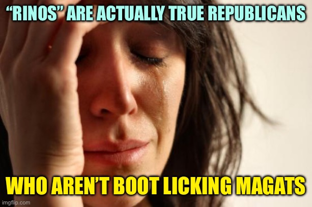 First World Dictator Problems | “RINOS” ARE ACTUALLY TRUE REPUBLICANS; WHO AREN’T BOOT LICKING MAGATS | image tagged in memes,first world problems | made w/ Imgflip meme maker