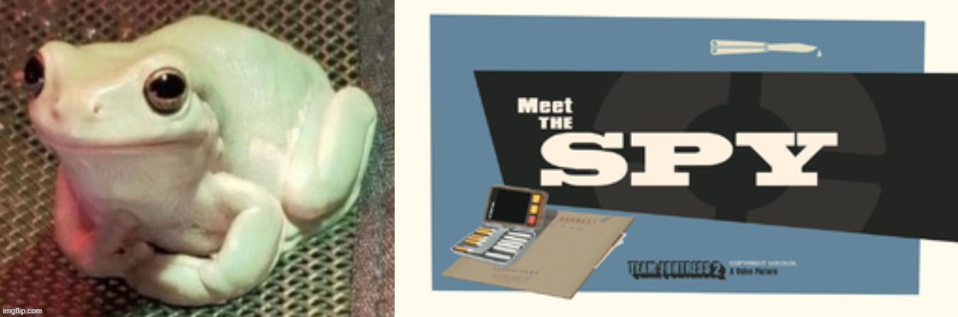 image tagged in polite frog,meet the spy | made w/ Imgflip meme maker