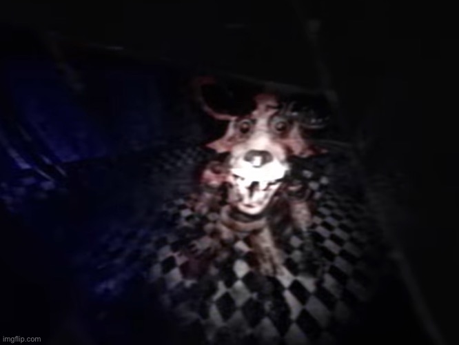 Focy | image tagged in focy | made w/ Imgflip meme maker