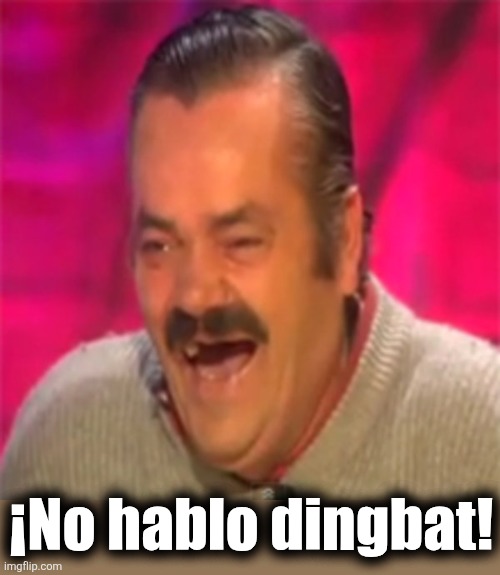 ¡No hablo dingbat! | image tagged in laughing mexican | made w/ Imgflip meme maker
