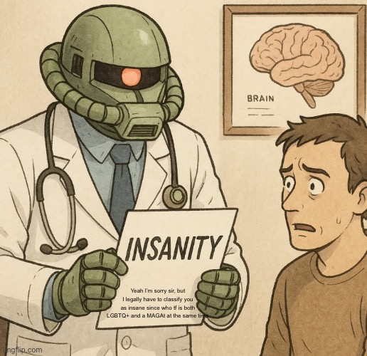 Yeah I’m sorry sir, but I legally have to classify you as insane since who tf is both LGBTQ+ and a MAGAt at the same time | made w/ Imgflip meme maker