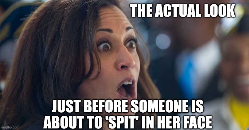 kamala harriss | THE ACTUAL LOOK JUST BEFORE SOMEONE IS ABOUT TO 'SPIT' IN HER FACE | image tagged in kamala harriss | made w/ Imgflip meme maker
