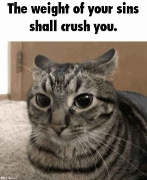 The weight of your sins shall crush you | image tagged in the weight of your sins shall crush you | made w/ Imgflip meme maker