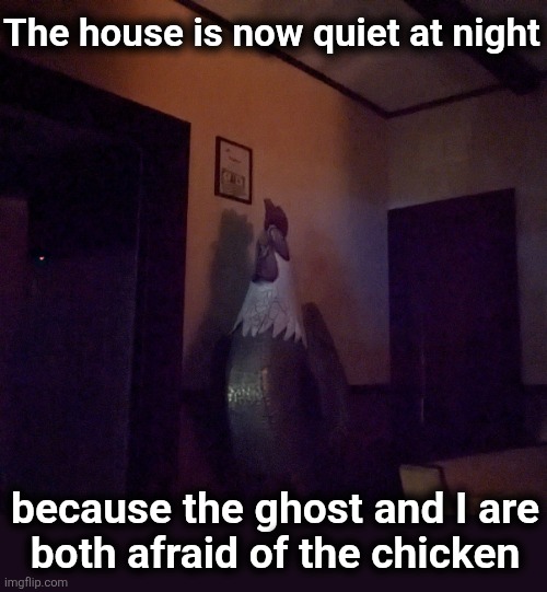 This is so f--ked up.  I hate it! | The house is now quiet at night; because the ghost and I are
both afraid of the chicken | image tagged in memes,ghost,chicken | made w/ Imgflip meme maker