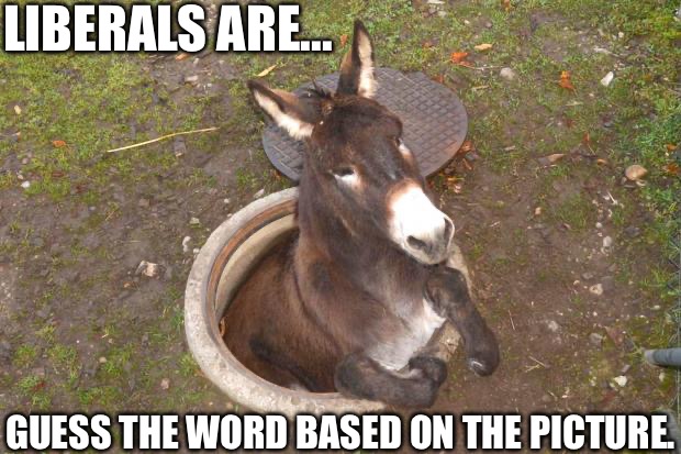 Guess The Word | LIBERALS ARE... GUESS THE WORD BASED ON THE PICTURE. | image tagged in stupid liberals,liberal privilege,libtards,entitlement,donkey,malignant narcissist | made w/ Imgflip meme maker