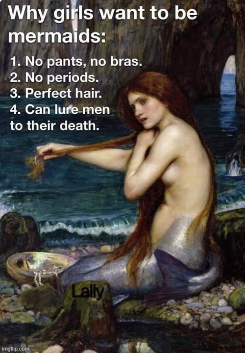 When I grow up I wanna be a mermaid | image tagged in mermaid,funny,relatable | made w/ Imgflip meme maker