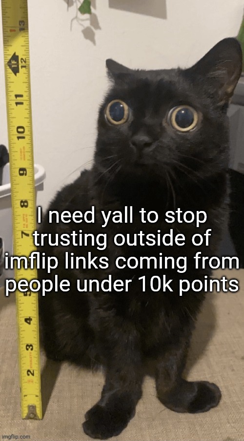 Sploingus | I need yall to stop trusting outside of imflip links coming from people under 10k points | image tagged in h | made w/ Imgflip meme maker