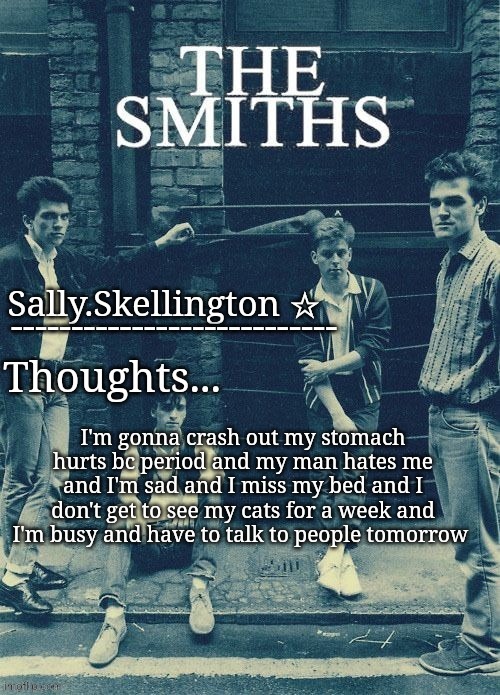 Sally's temp | I'm gonna crash out my stomach hurts bc period and my man hates me and I'm sad and I miss my bed and I don't get to see my cats for a week and I'm busy and have to talk to people tomorrow | image tagged in sally's temp | made w/ Imgflip meme maker