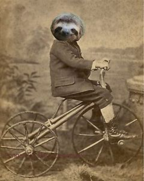 Funny Art | image tagged in surrealism,art,funny,weird photo of the day,cool and stupid,fun | made w/ Imgflip meme maker