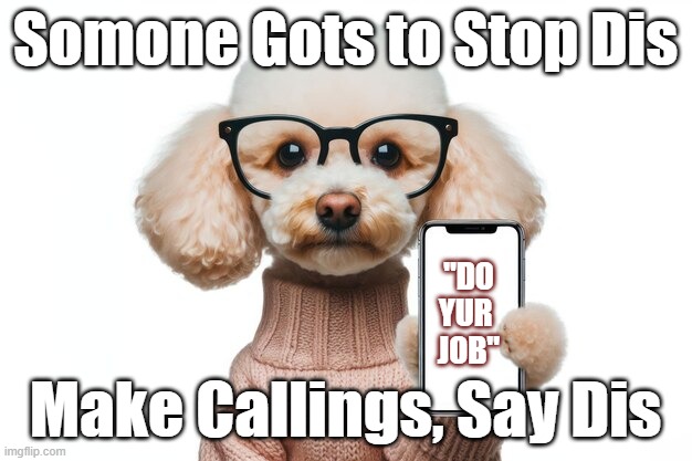 Poodle Make Callings | Somone Gots to Stop Dis; "DO YUR 
JOB"; Make Callings, Say Dis | image tagged in poodle say dis,do yur job,make callinggs | made w/ Imgflip meme maker