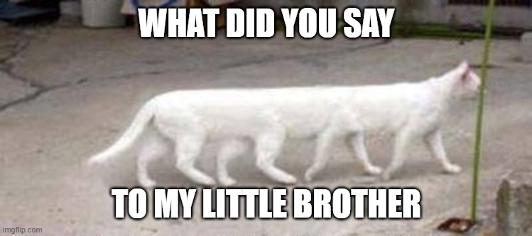 WHAT DID YOU SAY TO MY LITTLE BROTHER | made w/ Imgflip meme maker