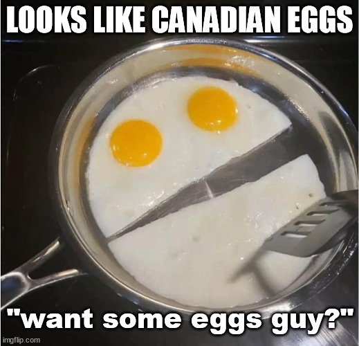 LOOKS LIKE CANADIAN EGGS; "want some eggs guy?" | image tagged in puns | made w/ Imgflip meme maker