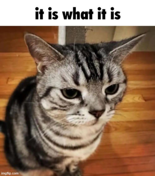 image tagged in it is what it is | made w/ Imgflip meme maker