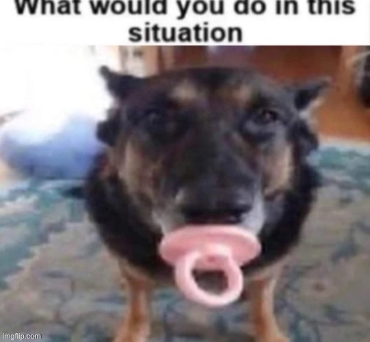 made w/ Imgflip meme maker