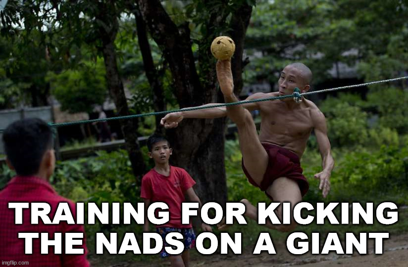TRAINING FOR KICKING THE NADS ON A GIANT | image tagged in nads | made w/ Imgflip meme maker