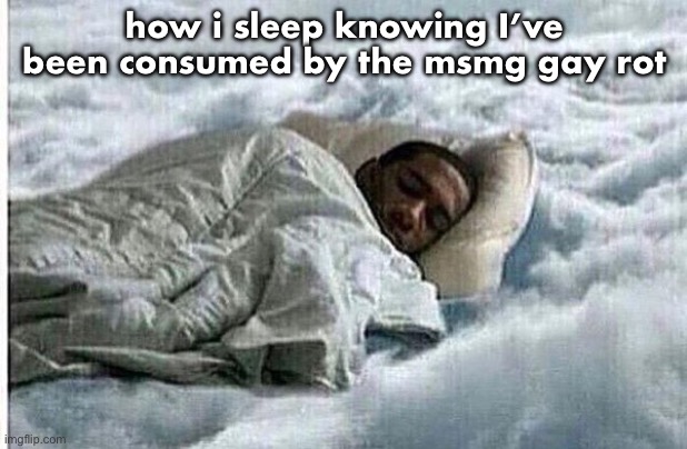How I Sleep | how i sleep knowing I’ve been consumed by the msmg gay rot | image tagged in how i sleep | made w/ Imgflip meme maker