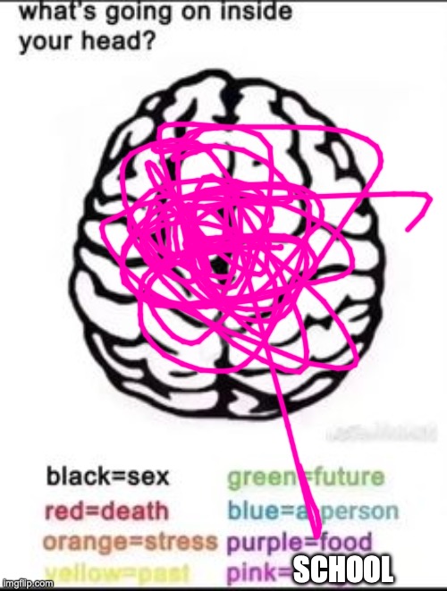 Don't mind the sloppiness of the drawing. It was on a laptop | SCHOOL | image tagged in what's going on inside your head | made w/ Imgflip meme maker