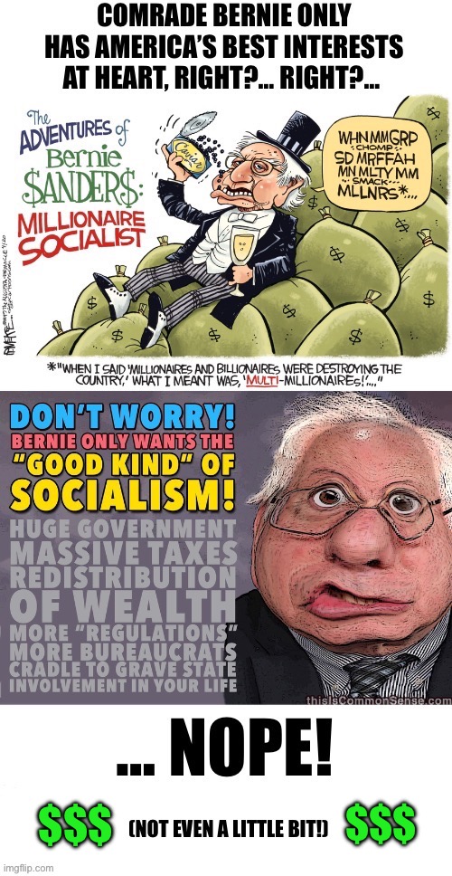Comrade Bernie, the millionaire socialist… | $$$; $$$ | image tagged in political meme,bernie sanders,millionaire socialist,grifter | made w/ Imgflip meme maker