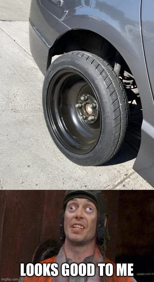 Tyre shop expert | LOOKS GOOD TO ME | image tagged in looks good to me,expert,wheel,happy wheels,hot wheels | made w/ Imgflip meme maker