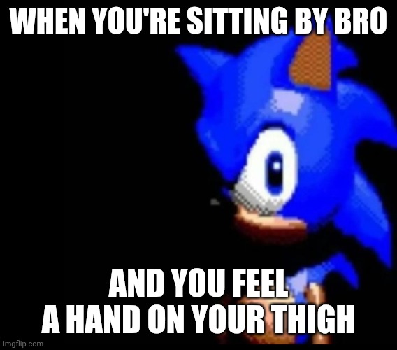 Sonic stares | WHEN YOU'RE SITTING BY BRO; AND YOU FEEL A HAND ON YOUR THIGH | image tagged in sonic stares | made w/ Imgflip meme maker
