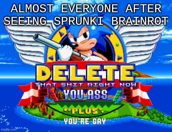 Delete That Shit RIGHT NOW sonic mania | ALMOST EVERYONE AFTER SEEING SPRUNKI BRAINROT | image tagged in delete that shit right now sonic mania | made w/ Imgflip meme maker