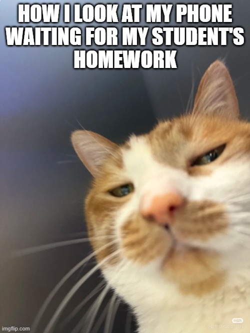 Annoyed teacher | HOW I LOOK AT MY PHONE
WAITING FOR MY STUDENT'S
HOMEWORK | image tagged in teacher,homework | made w/ Imgflip meme maker