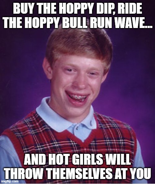 HOT NERD | BUY THE HOPPY DIP, RIDE THE HOPPY BULL RUN WAVE... AND HOT GIRLS WILL THROW THEMSELVES AT YOU | image tagged in memes,bad luck brian,hoppy,nerd,100x,crypto | made w/ Imgflip meme maker