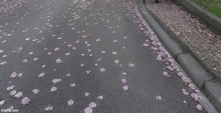 Photo i should've posted before my break | made w/ Imgflip meme maker